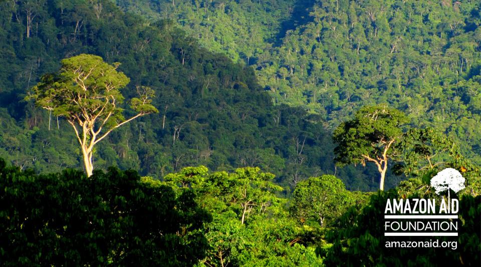 Amazon Aid Image